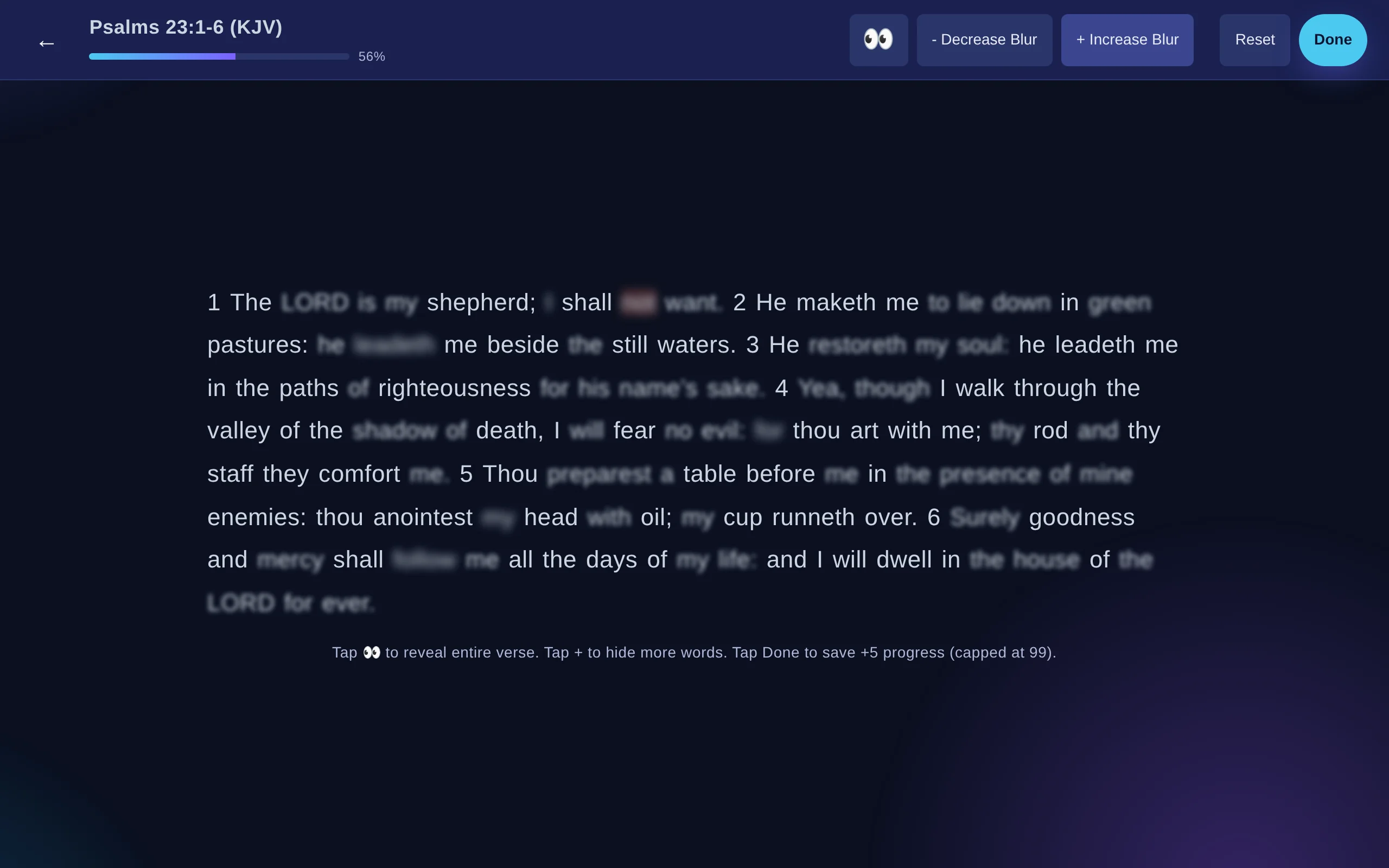 Bible memory on a computer